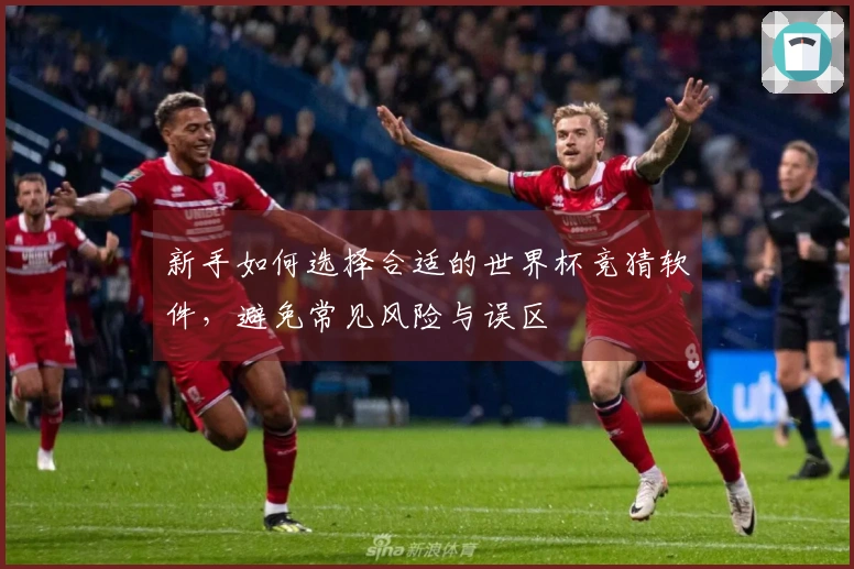 新手如何选择合适的世界杯竞猜软件，避免常见风险与误区