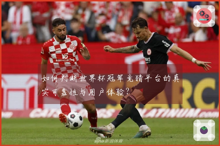 如何判断世界杯冠军竞猜平台的真实可靠性与用户体验？