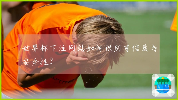 世界杯下注网站如何识别可信度与安全性？