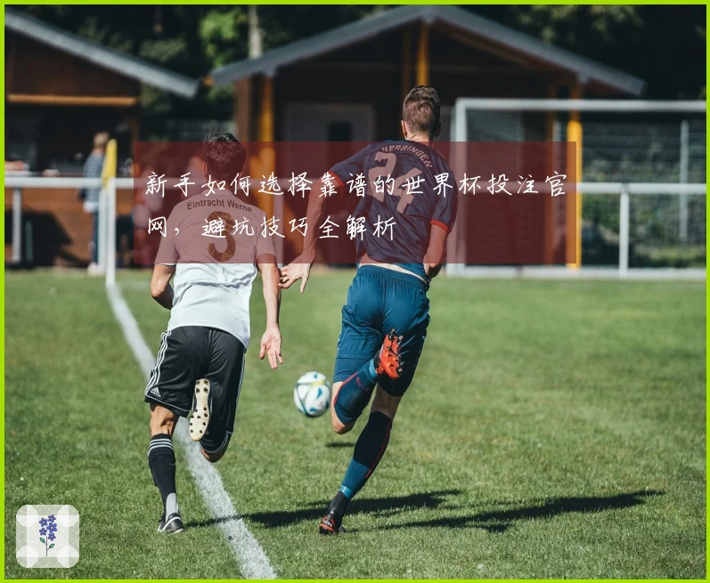 新手如何选择靠谱的世界杯投注官网，避坑技巧全解析