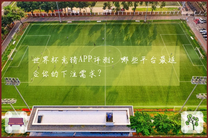 世界杯竞猜APP评测：哪些平台最适合你的下注需求？
