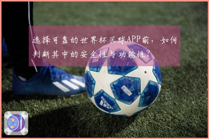 选择可靠的世界杯买球APP前，如何判断其中的安全性与功能性？