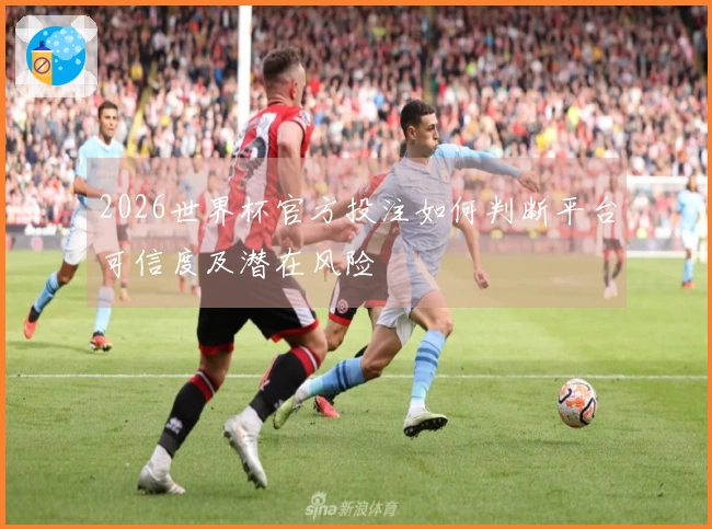 2026世界杯官方投注如何判断平台可信度及潜在风险