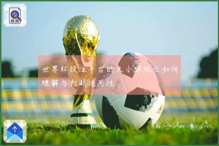 世界杯投注平台的大小球玩法如何理解与判断适用性