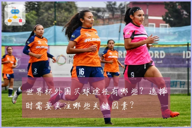 世界杯外围买球途径有哪些？选择时需要关注哪些关键因素？