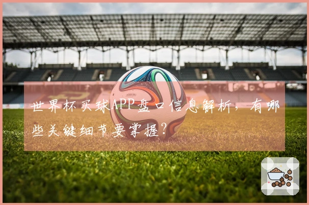 世界杯买球APP盘口信息解析，有哪些关键细节要掌握？