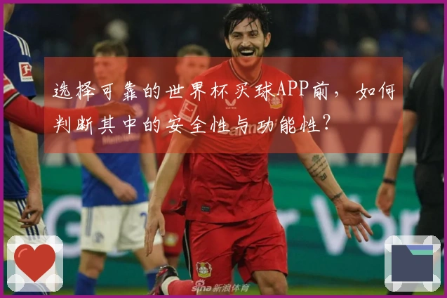 选择可靠的世界杯买球APP前，如何判断其中的安全性与功能性？