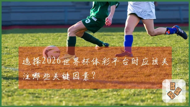 选择2026世界杯体彩平台时应该关注哪些关键因素？