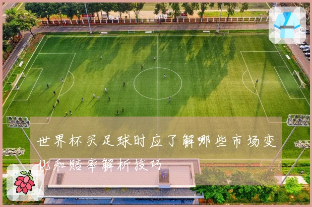 世界杯买足球时应了解哪些市场变化和赔率解析技巧