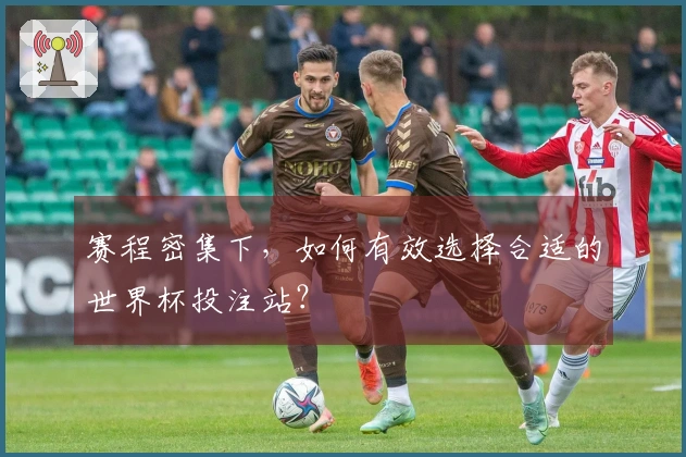 赛程密集下，如何有效选择合适的世界杯投注站？
