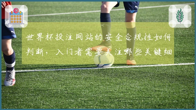 世界杯投注网站的安全合规性如何判断，入门者需要关注哪些关键细节？