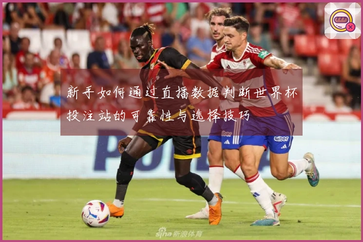 新手如何通过直播数据判断世界杯投注站的可靠性与选择技巧