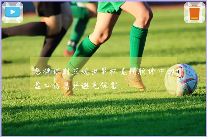 怎样识别正规世界杯竞猜软件中的盘口信息并避免踩雷