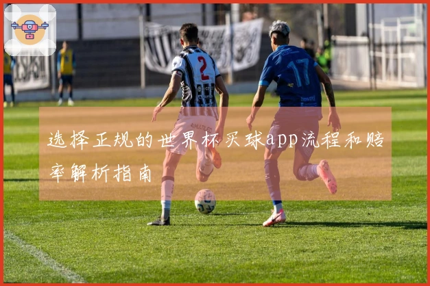 选择正规的世界杯买球app流程和赔率解析指南