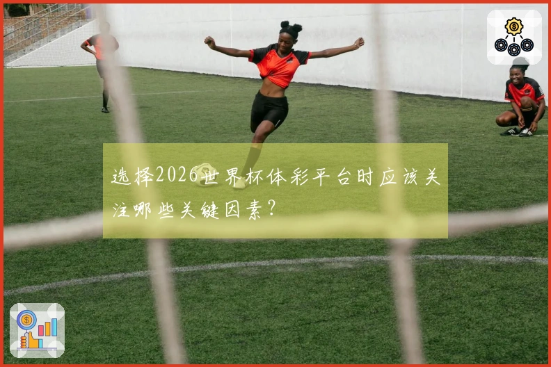 选择2026世界杯体彩平台时应该关注哪些关键因素？