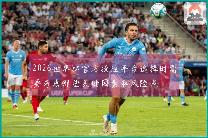 2026世界杯官方投注平台选择时需要考虑哪些关键因素和风险点
