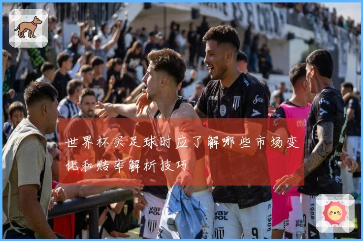 世界杯买足球时应了解哪些市场变化和赔率解析技巧