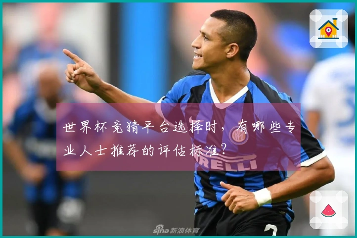 世界杯竞猜平台选择时，有哪些专业人士推荐的评估标准？