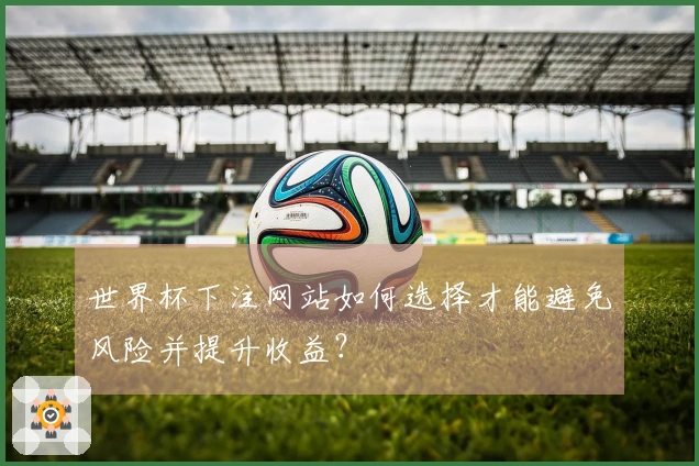 世界杯下注网站如何选择才能避免风险并提升收益？