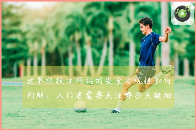 世界杯投注网站的安全合规性如何判断，入门者需要关注哪些关键细节？