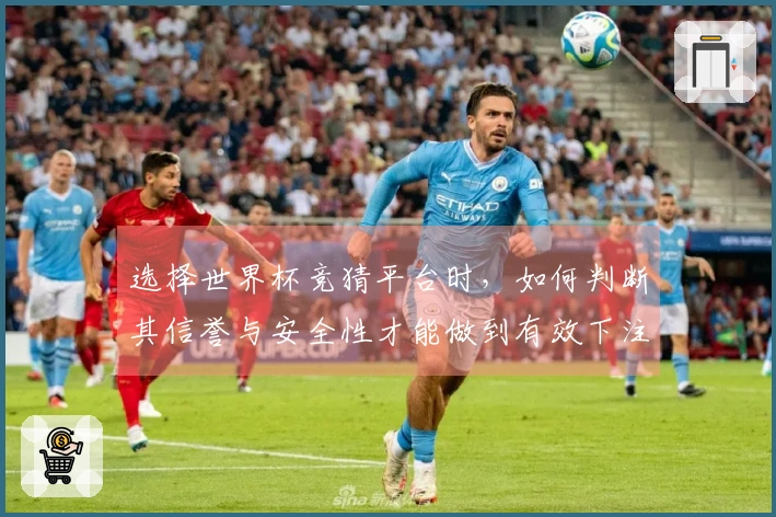 选择世界杯竞猜平台时，如何判断其信誉与安全性才能做到有效下注？