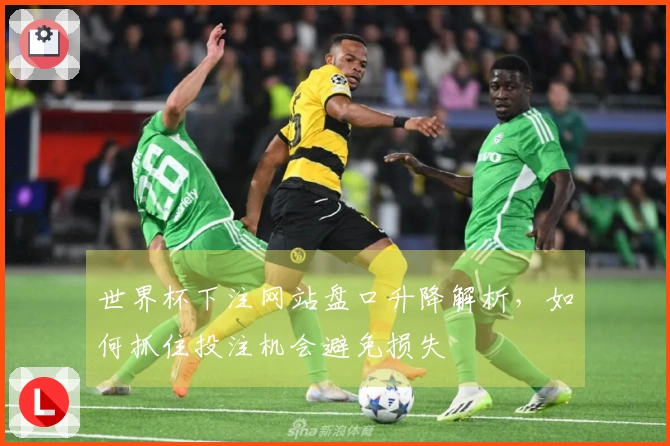 世界杯下注网站盘口升降解析，如何抓住投注机会避免损失