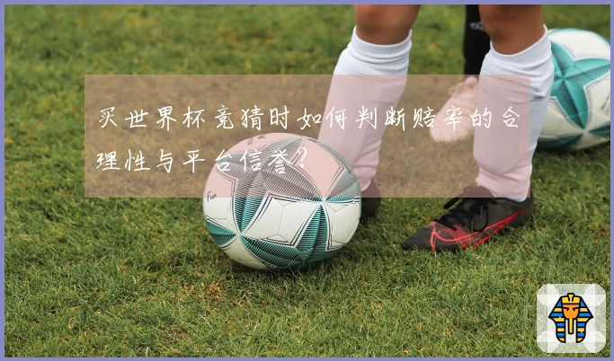 买世界杯竞猜时如何判断赔率的合理性与平台信誉？