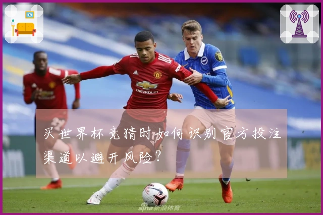 买世界杯竞猜时如何识别官方投注渠道以避开风险？