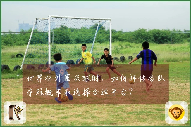 世界杯外围买球时，如何评估各队夺冠概率和选择合适平台？