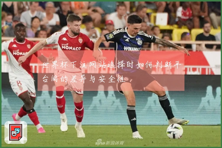 世界杯下注网站选择时如何判断平台间的差异与安全性
