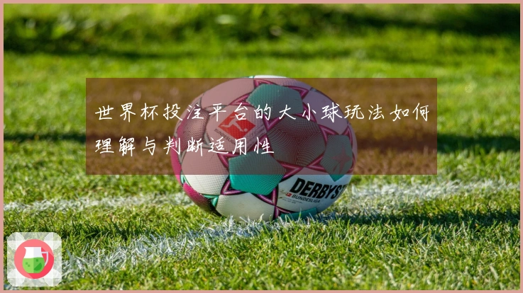 世界杯投注平台的大小球玩法如何理解与判断适用性