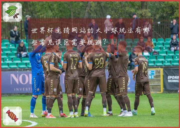 世界杯竞猜网站的大小球玩法有哪些常见误区需要规避？