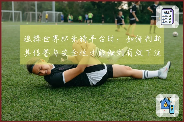 选择世界杯竞猜平台时，如何判断其信誉与安全性才能做到有效下注？